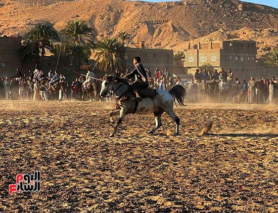 سباقات الخيول بفعاليات مولد أبو القمصان