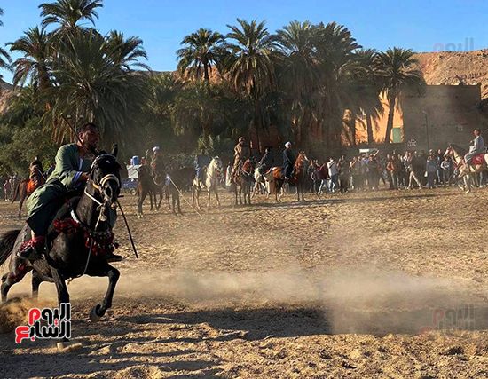 سباقات الخيول فى مولد أبو القمصان