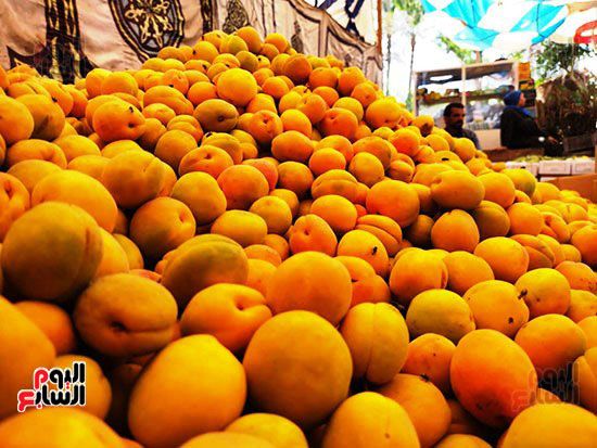 77227-مشمش-قرية-العمار-بيخلى-الناس-ترقص-من-فرحة-السنة-(13) 77227-مشمش-قرية-العمار-بيخلى-الناس-ترقص-من-فرحة-السنة-(13)