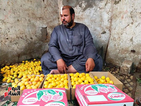 فرحة-الباعة-بموسم-المشمش-بالقليوبية فرحة-الباعة-بموسم-المشمش-بالقليوبية