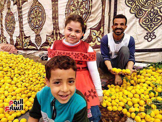 111172-مشمش-قرية-العمار-بيخلى-الناس-ترقص-من-فرحة-السنة-(1) 111172-مشمش-قرية-العمار-بيخلى-الناس-ترقص-من-فرحة-السنة-(1)