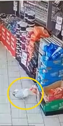 الطائر يهرب بالطعام الطائر يهرب بالطعام
