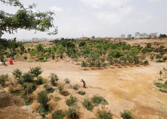 مبادرة التشجير بباكستان مبادرة التشجير بباكستان