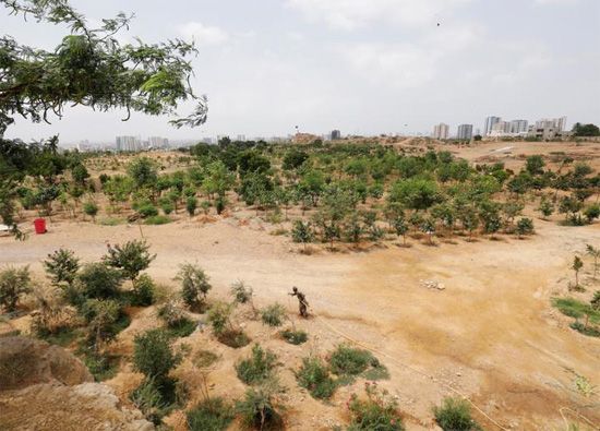 مبادرة التشجير بباكستان