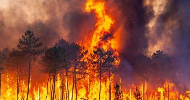 فرنسا: إجلاء ثلاثة آلاف شخص من منازلهم بسبب حريق الغابات فى إقليم أفيرون