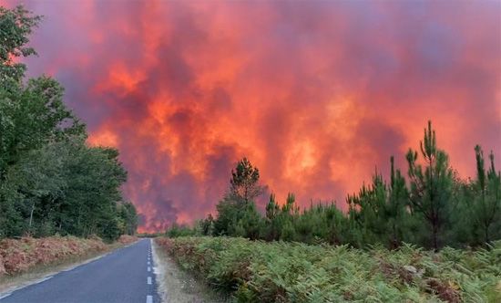 حرائق الغابات فى فرنسا عرض مستمر