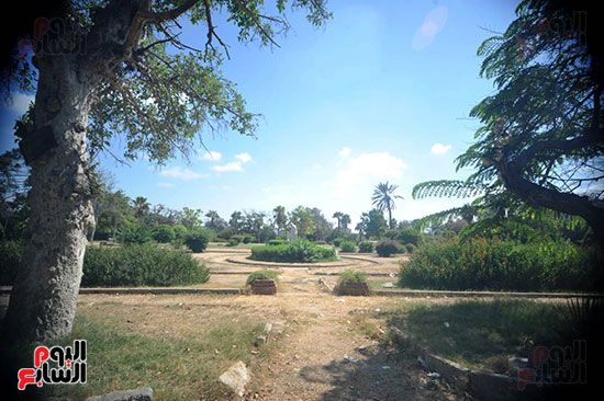 حدائق انطونيادس جنات النعيم البطلمية (16)