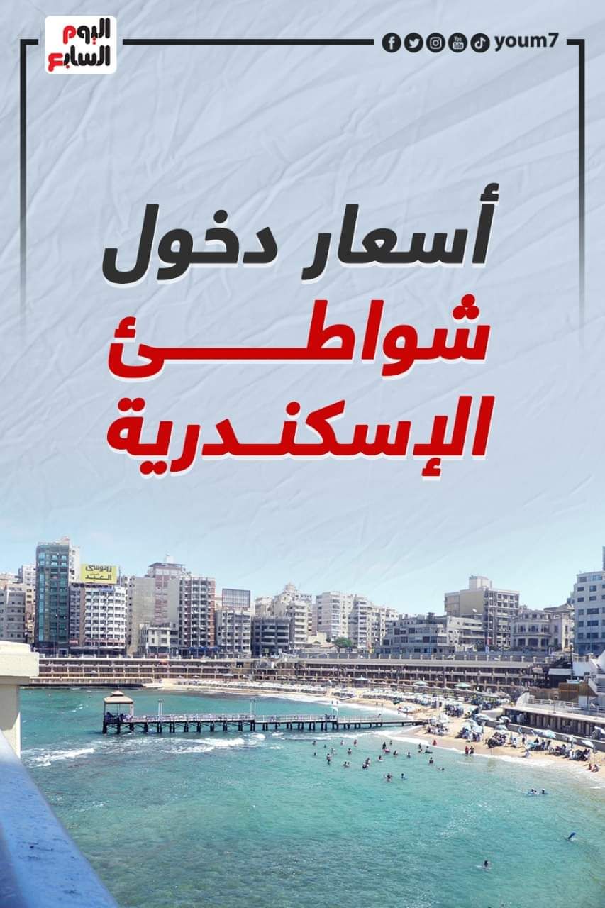 WhatsApp Image 2022-09-03 at 20.51.14 WhatsApp Image 2022-09-03 at 20.51.14