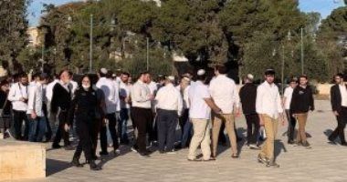 مستوطنون إسرائيليون يستبيحون الأقصى: إصابة 2 من المرابطين واعتقال 5 آخرين