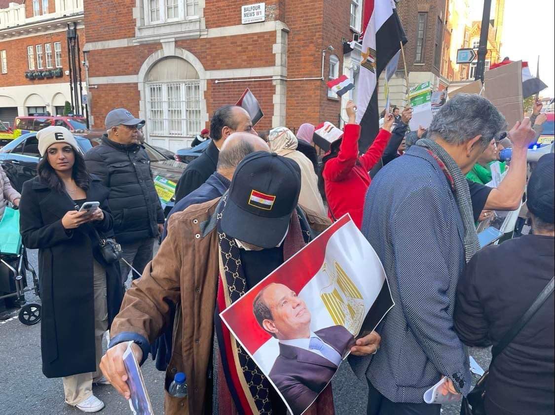 المصريين في لندن يتضامنون مع القيادة السياسية (7)