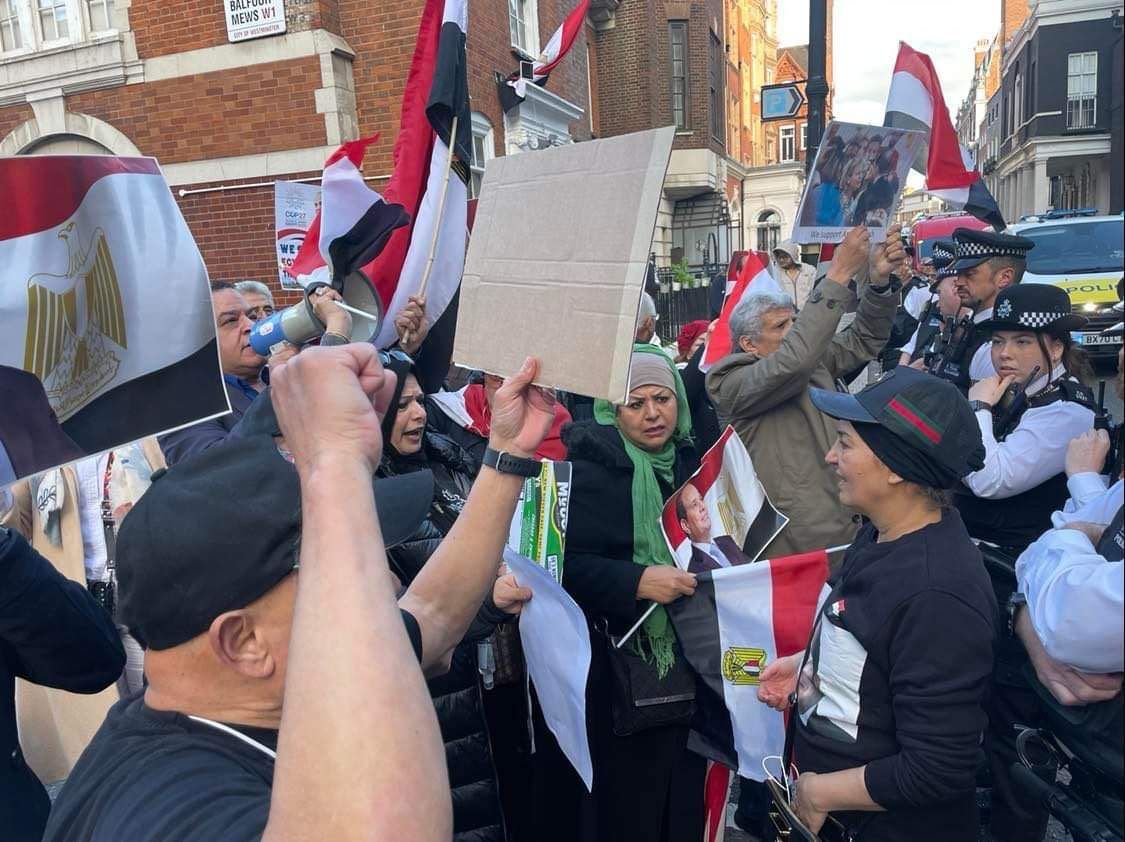 المصريين في لندن يتضامنون مع القيادة السياسية (4)