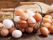 ارتفاع أسعار البيض فى إسبانيا 29.8% بسبب التضخم وأنفلونزا الطيور