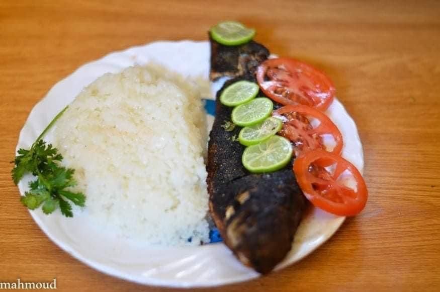 وجبة السمك وجبة السمك