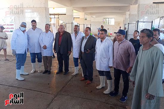 مدير-بيطرى-الأقصر-يكشف-تفاصيل-خدمة-الأهالى-والمؤسسات-فى-المجازر مدير-بيطرى-الأقصر-يكشف-تفاصيل-خدمة-الأهالى-والمؤسسات-فى-المجازر