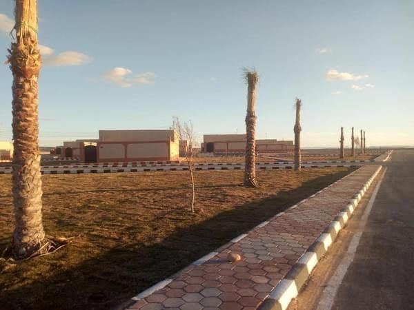 مجمع تنموى بوسط سيناء مجمع تنموى بوسط سيناء