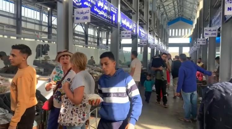 الرحلات السياحية بحلقة سمك الغردقة الرحلات السياحية بحلقة سمك الغردقة
