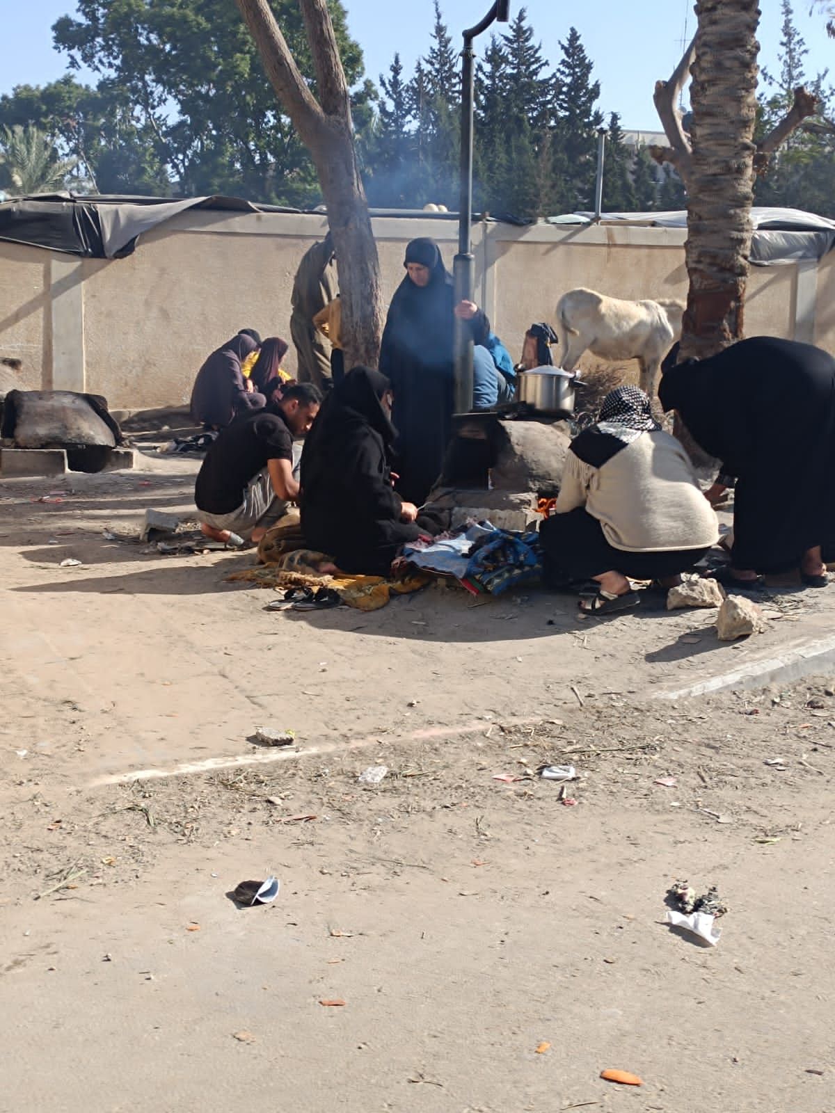 صناعة الخبز يوميا صناعة الخبز يوميا