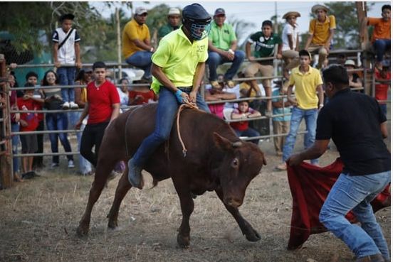 مسابقات لرعاة البقر فى بنما