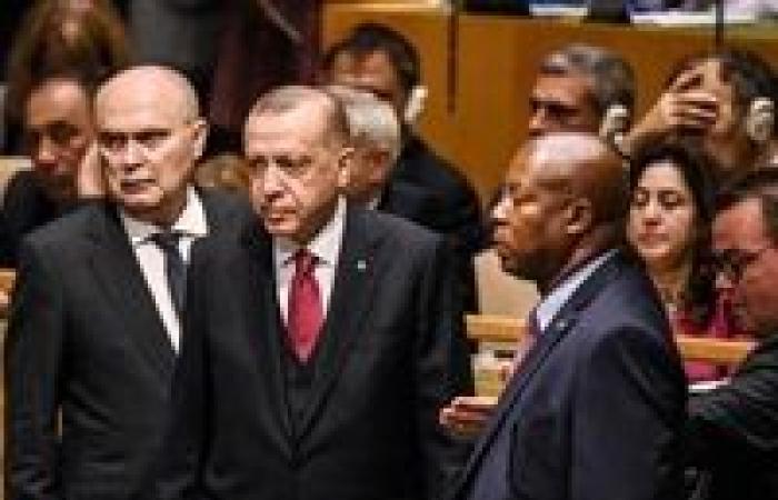 "البادي أظلم".. صفعة جديدة من الخارجية المصرية على وجه أردوغان