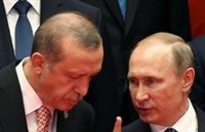 "لقاء بوتين.. وتهديدات ترامب".. خطة إذلال أردوغان لإجبازه على الانسحاب من سوريا