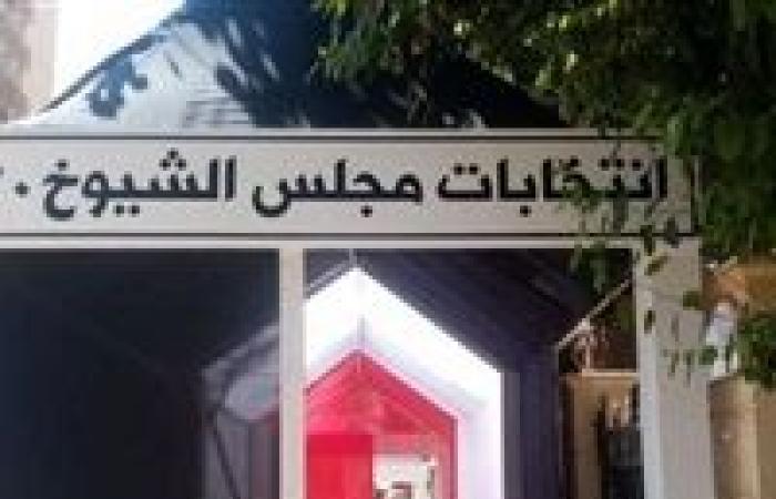 وعى الشعب ومشاركة أمهات الشهداء.. أبرز مشاهد انتخابات مجلس الشيوخ 2020