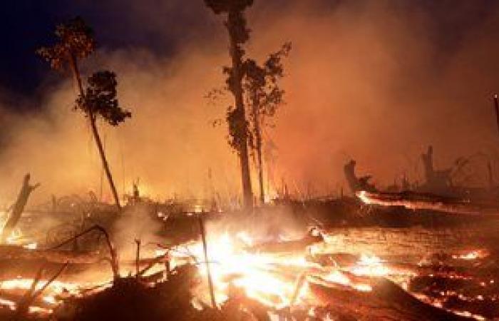 حرائق الأمازون تثير قلق العالم.. 63 ألف اشتعال خلال عام.. تقرير: أغسطس سجل ثانى أعلى عدد للحرائق خلال 10 سنوات.. واستطلاع يؤكد أن 83% من البرازيليين قلقون من الوضع.. والبرازيل تنشر جيشها للحد من إزالة الغابات