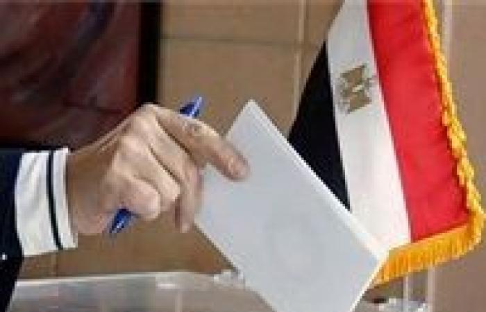 كيفية تسجيل بيانات المصريين بالخارج للتصويت في انتخابات النواب؟