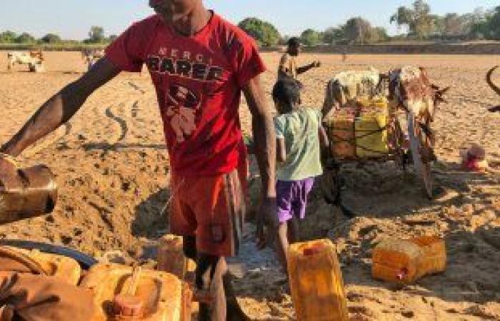 الصومال يئن من الجفاف.. إقليم "أرض الصومال" يعلن الطوارئ بسبب قلة الأمطار.. مسئولون يتوقعون احتياج أكثر من 1,2 مليون شخص إلى مساعدة.. الحكومة تخصص 3 ملايين دولار وتدعو شركاءها للمؤازرة.. وتحذيرات من تفاقم الوضع