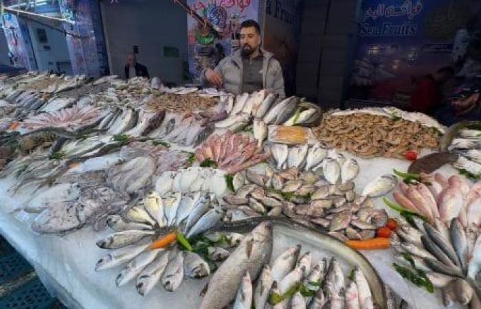 وثيقة: مصر تستهدف إنتاج 5 ملايين طن أسماك الـ10 سنوات المقبلة
