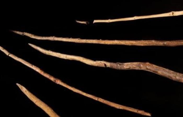 تحليل أسلحة صيد عمرها 300 ألف عام يكشف تقنيات صناعة الأخشاب قديما