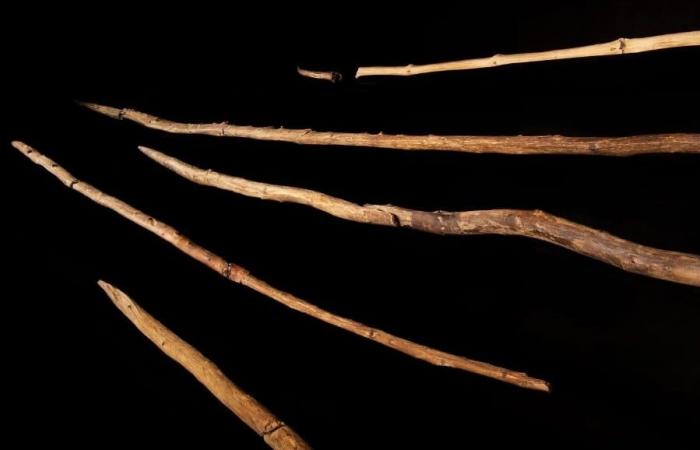 تحليل أسلحة صيد عمرها 300 ألف عام يكشف تقنيات صناعة الأخشاب قديما