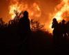 ارتفاع عدد قتلى حرائق الغابات فى تشيلى إلى 64 شخصا