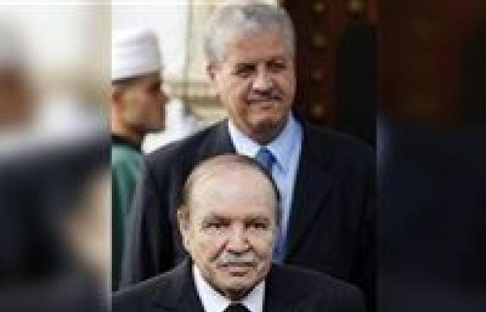 الجزائر.. مظاهرات عارمة وتغييرات جذرية تحتوي الأزمة (تقرير)