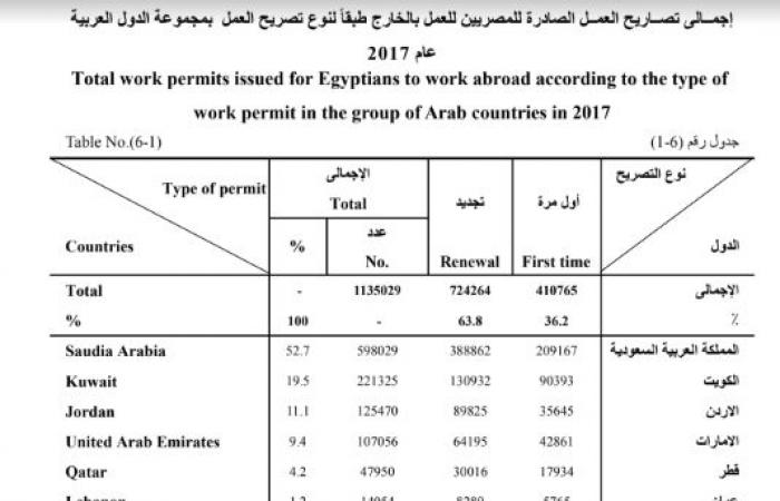 "المصريون حول العالم".. تفاصيل قاعدة بيانات العمالة المصرية بالخارج.. 1.1 مليون تصريح عمل خلال عام 97% منها بالدول العربية.. 2.1% فقط يفضلون السفر لأوروبا.. و35 دولة لا يتعدى المصريين بها 5 أفراد