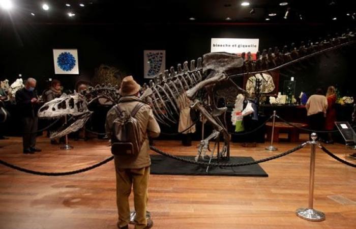 الديناصورات نجوم المزادات العالمية رغم انقراضها.. بيع أكبر ديناصور مقابل 6.6 مليون يورو فى باريس.. عرض هيكل عظمى لديناصور" ثيروبودا" بـ 2.2 مليون دولار ببرج إيفل.. وسعر"ألوصور" يصل إلى 3 ملايين يورو